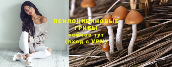 ПСИЛОЦИБИНОВЫЕ ГРИБЫ Аркадак