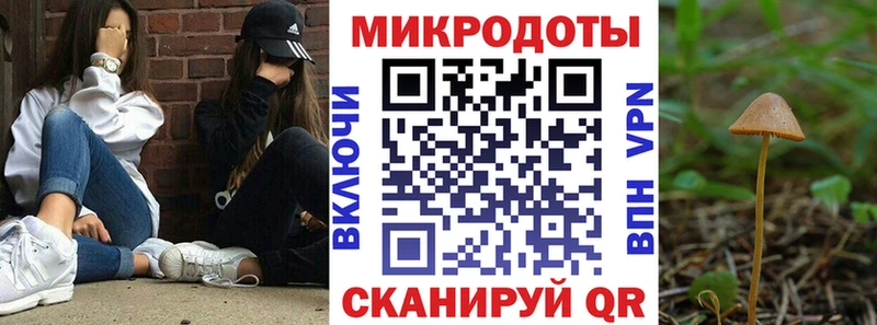 Псилоцибиновые грибы GOLDEN TEACHER  Почеп 