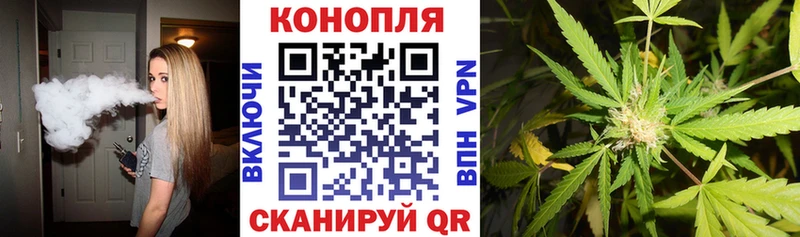где можно купить нарко площадка как зайти Канабис тримм Почеп